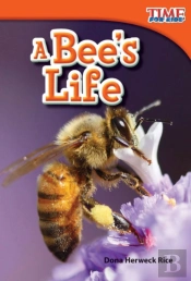 A Bee'S Life