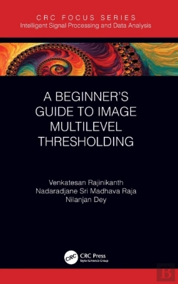 Bertrand.pt - A Beginnerâ€™S Guide To Multilevel Image Thresholding