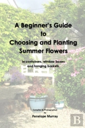 A Beginner'S Guide To Choosing And Planting Summer Flowers