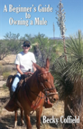 A Beginner'S Guide To Owning A Mule
