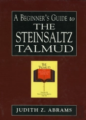 A Beginner'S Guide To The Steinsaltz Talmud