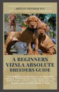 A Beginners Vizsla Absolute Breeders Guide