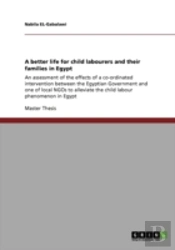 A Better Life For Child Labourers And Their Families In Egypt
