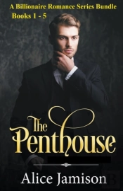 A Billionaire Romance Series Bundle Book