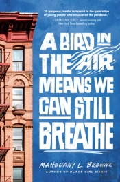 A Bird In The Air Means We Can Still Breathe