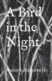 A Bird In The Night