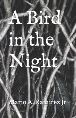 Bertrand.pt - A Bird In The Night
