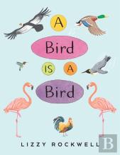 A Bird Is A Bird