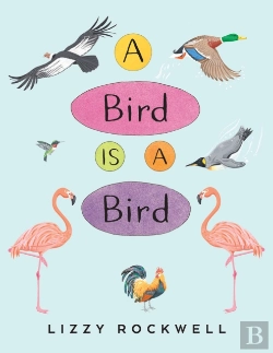 Bertrand.pt - A Bird Is A Bird