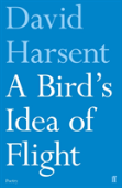 A Bird'S Idea Of Flight