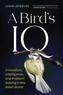 A Bird'S Iq