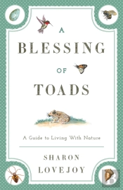 A Blessing Of Toads