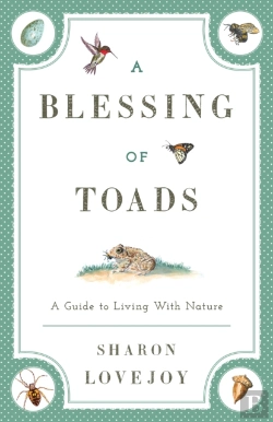 Bertrand.pt - A Blessing Of Toads