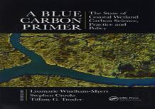 A Blue Carbon Primer