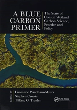 Bertrand.pt - A Blue Carbon Primer