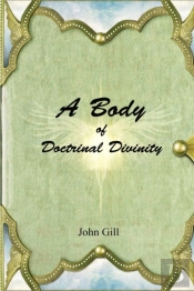 A Body Of Doctrinal Divinity
