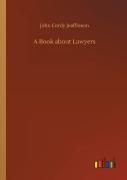 A Book About Lawyers