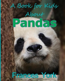 Bertrand.pt - A Book For Kids About Pandas