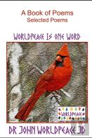 A Book Of Poems