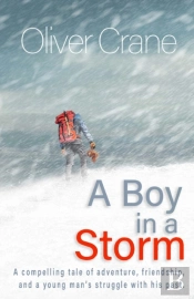 A Boy In A Storm