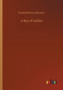 A Boy Of Galilee