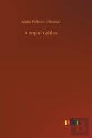 A Boy Of Galilee