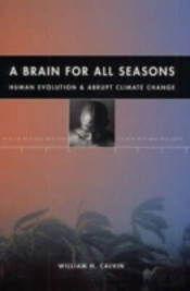 A Brain For All Seasons