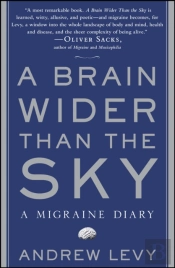 A Brain Wider Than The Sky