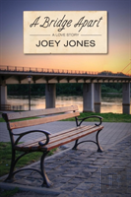 A Bridge Apart