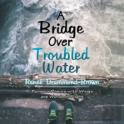A Bridge Over Troubled Water