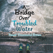 A Bridge Over Troubled Water