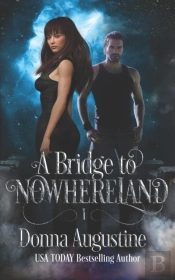 A Bridge To Nowhereland
