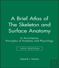 A Brief Atlas Of The Skeleton And Surface Anatomy To Accompany Principles Of Anatomy And Physiology, 14e