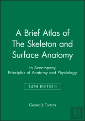 A Brief Atlas Of The Skeleton And Surface Anatomy To Accompany Principles Of Anatomy And Physiology, 14e