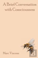 A Brief Conversation With Consciousness