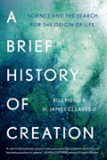 A Brief History Of Creation