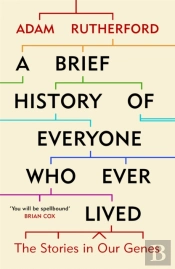 A Brief History Of Everyone Who Ever Lived