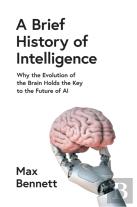 A Brief History Of Intelligence