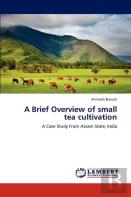 A Brief Overview Of Small Tea Cultivation