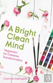 A Bright Clean Mind