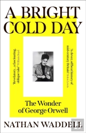 A Bright Cold Day