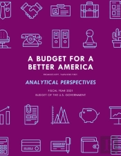 A Budget For America'S Future