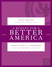 A Budget For America'S Future
