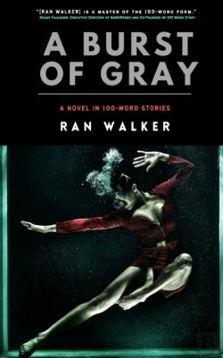 Bertrand.pt - A Burst Of Gray: A Novel In 100-Word Sto