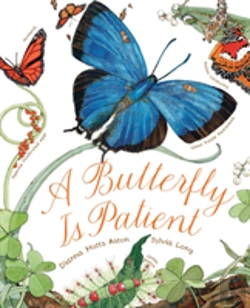 Bertrand.pt - A Butterfly Is Patient