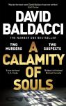 A Calamity Of Souls