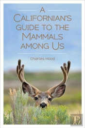 A Californian'S Guide To The Mammals Among Us