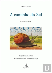 A Caminho do Sul