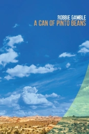 A Can Of Pinto Beans