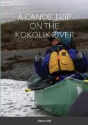 A Canoe Trip On The Kokolik River